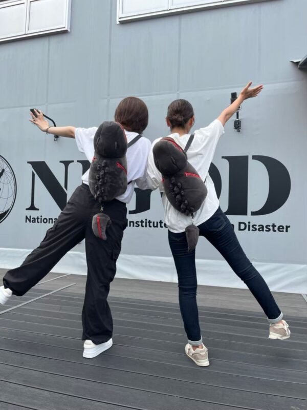 Nijigen No Mori Godzilla Attraction Ticket (Awaji Island) - Getting to Awaji takes planning