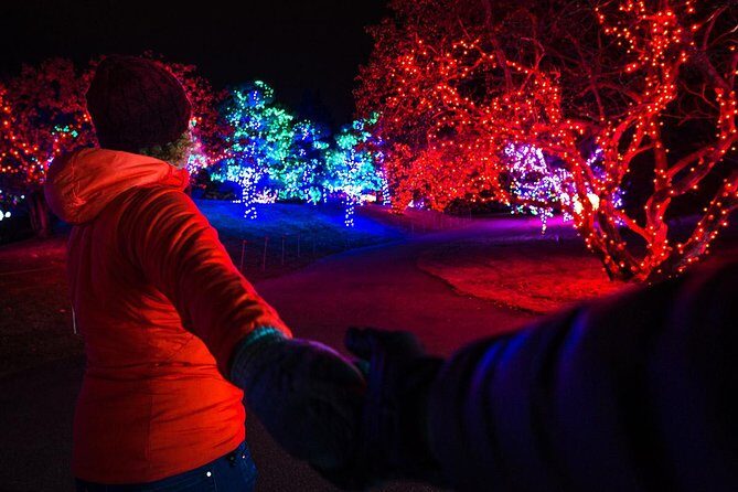 Nikka Yuko Japanese Garden Winter Light Festival - Who Will Enjoy This the Most?