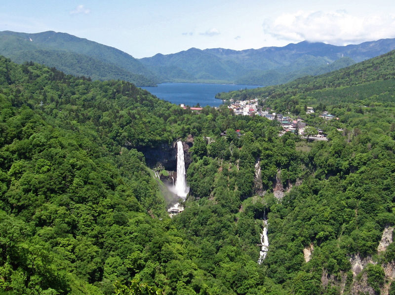 Nikko 6hr Private Tour with Government-Licensed Guide - What the guide adds