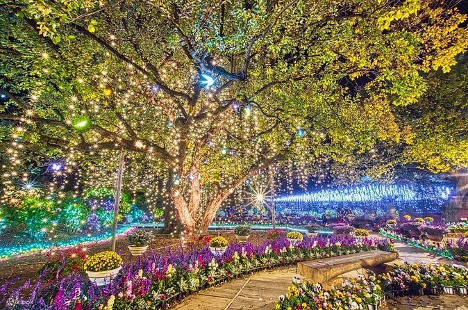 Nikko and Surroundings Two Day Trip from Tokyo in Luxury Van - Who Will Love This Tour?