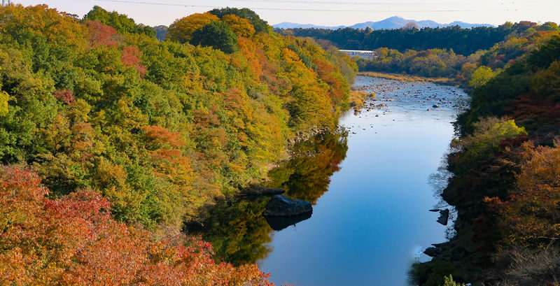 Nikko Autumn Special: Irohazaka, Kegon Falls & Toshogu Day Tour - Autumn color is a moving target