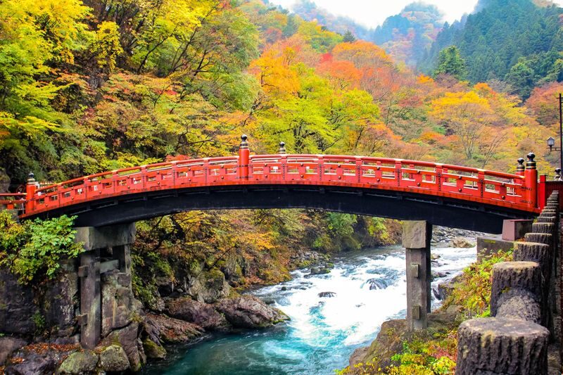 Nikko Autumn Special: Irohazaka, Kegon Falls & Toshogu Day Tour - Does the $48.15 starting price represent good value?