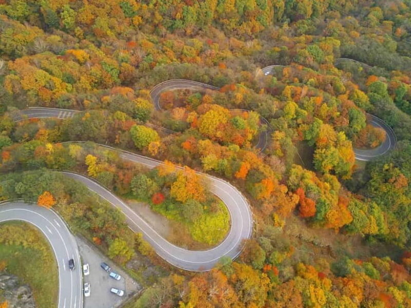 Nikko City Day Trip By Private Car or Van - Who Will Love This Tour?