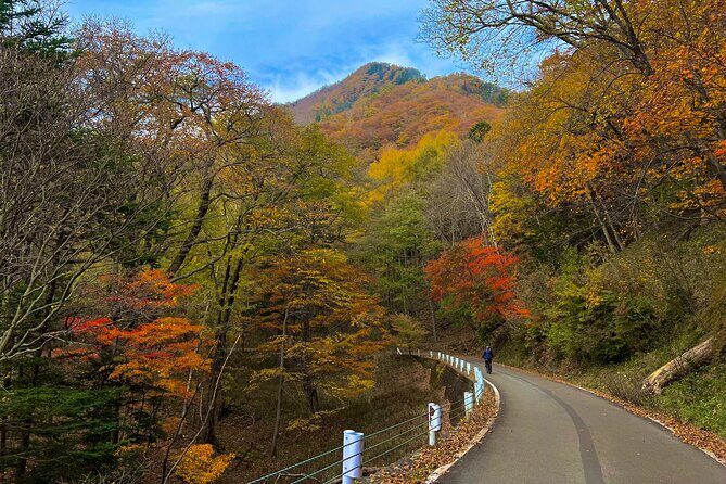Nikko Cycling Tour with Local Guide - Final Thoughts