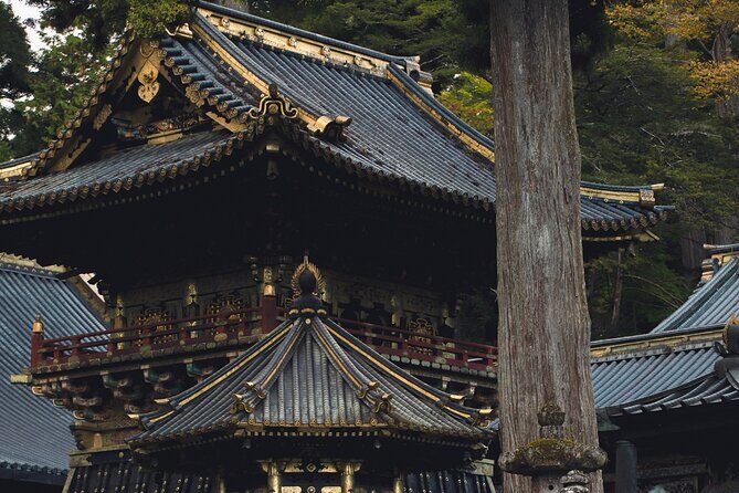 Nikko Day Private Tour With English Speaking Guide - An In-Depth Look at the Tour Itinerary