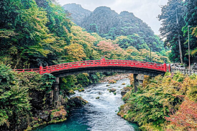 Nikko: Day Tour from Tokyo in Spanish - Spanish - Key Points