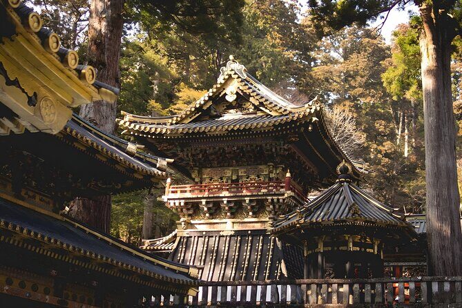 Nikko Day Tour World Heritage & Nature with English speak Driver - Who Should Consider This Tour?