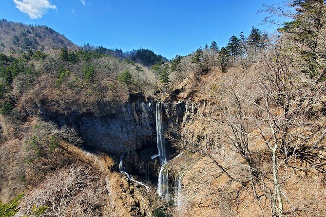 Nikko Full-Day Private Tour from Tokyo Return by Bullet Train - Who This Tour Is Best Suited For