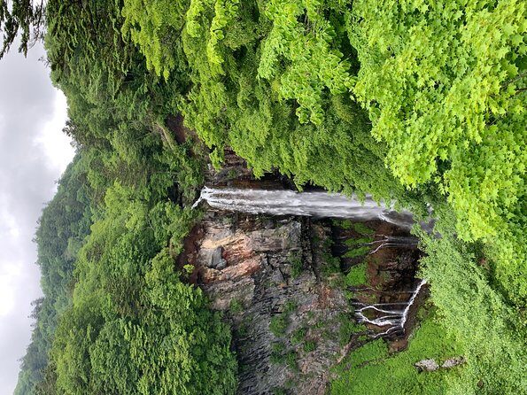 Nikko one day trip GREEN NUMBER PLATES - Deep Dive: Why Travelers Love It