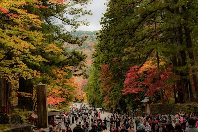 Nikko Private Customizable Half Day Tour - Who Will Love This Tour?