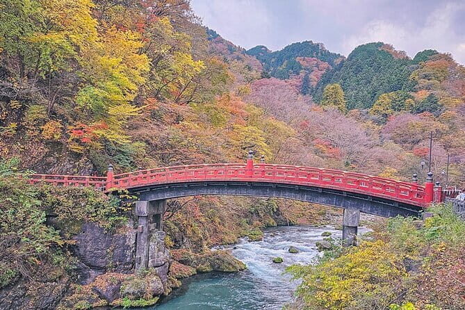Nikko Private Day Tour by Car with Pick up from Tokyo - Who This Tour Is Perfect For