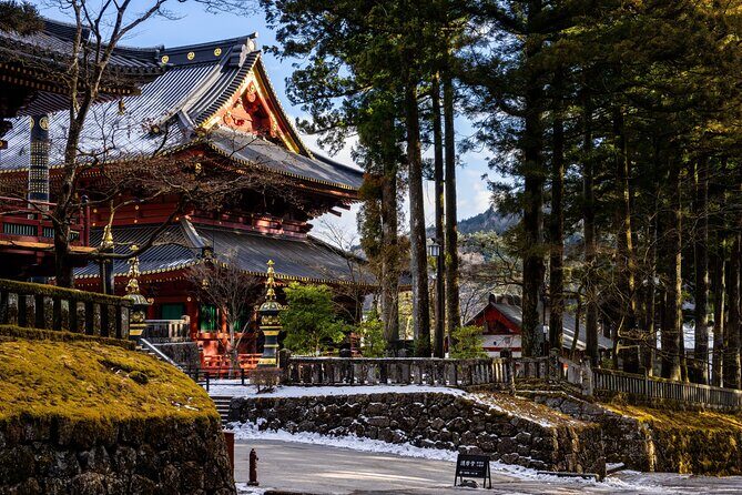 Nikko Private Day Tour - English Guide - Onsen & UNESCO Shrine - Who Should Consider This Tour?