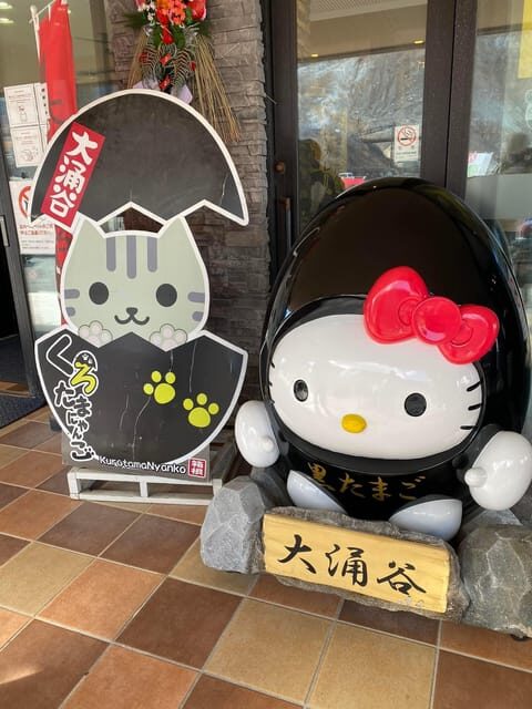 Nikko Private Day Tour with English Speaking Expert Driver - An In-Depth Look at the Nikko Private Day Tour