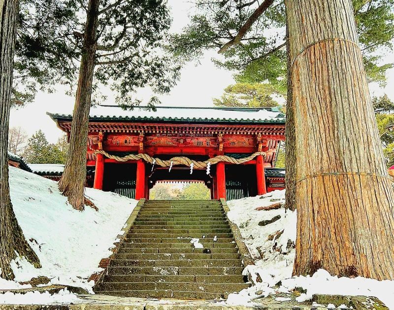 Nikko Private Day Trip (Tokyo Departure) - Kegon Falls and the mountain air