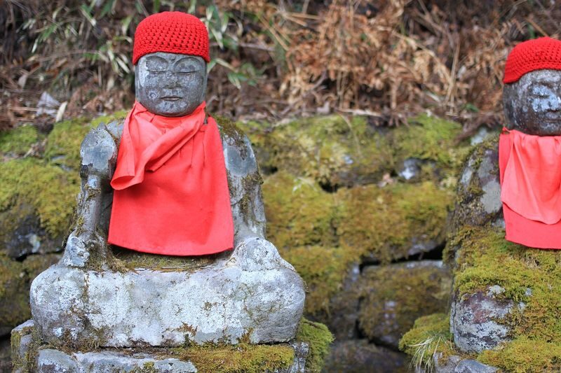 Nikko Private Day Trip (Tokyo Departure) - What private transport changes