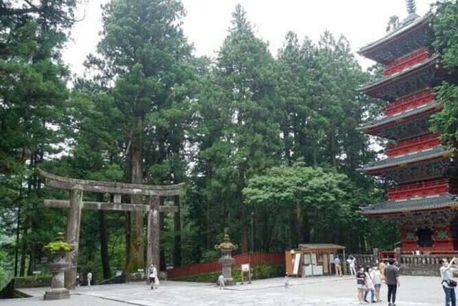 Nikko Private Tour by Car with English Speaking Chauffeur - What Travelers Say