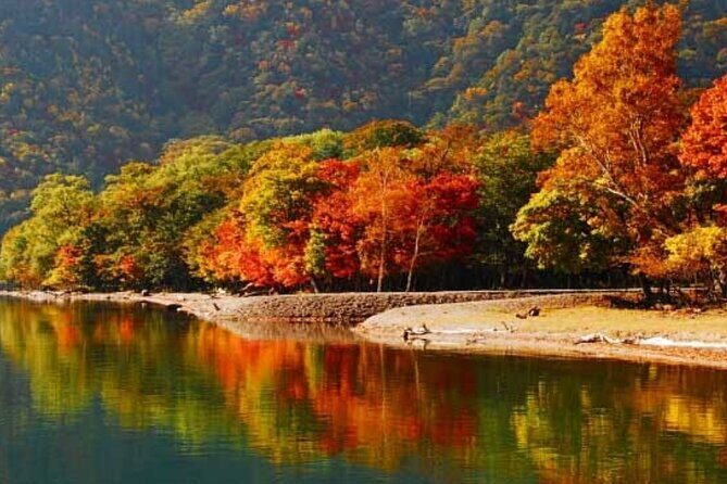 Nikko Private Tour by Car with English Speaking Chauffeur - Who Will Love This Tour?