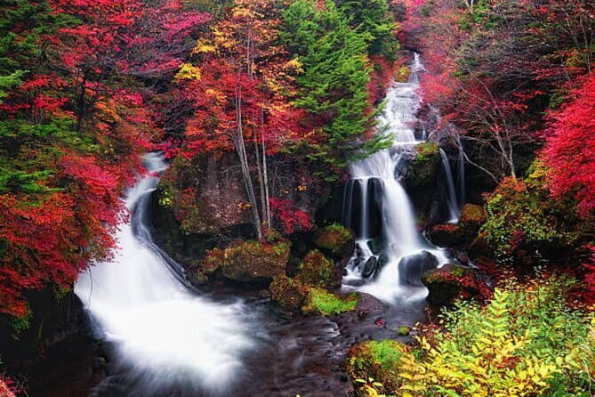 Nikko Private Tour Water falls Toshogu Shrines and Edo wonderland - Who Will Love This Tour?