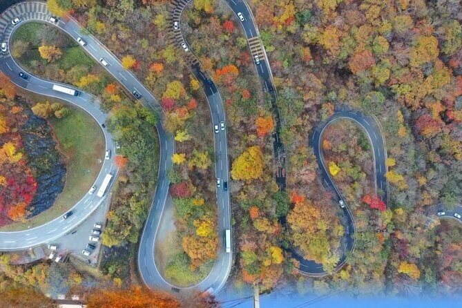 Nikko Shrine Day Tour from Tokyo or Shinjuku - Key Points