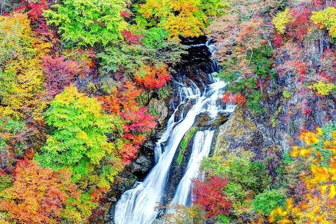 Nikko: Shrine, Waterfall and Autumn Leaves by Car (Private Tour) - A Detailed Look at the Nikko: Shrine, Waterfall and Autumn Leaves by Car (Private Tour)