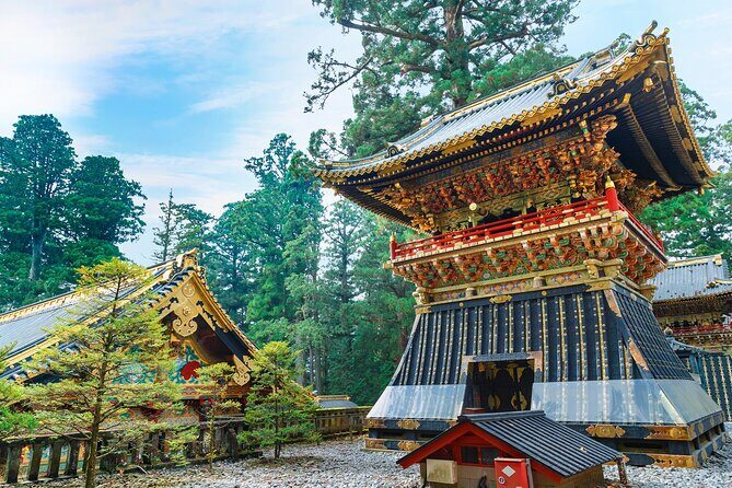Nikko Sightseeing Tour - Key Points