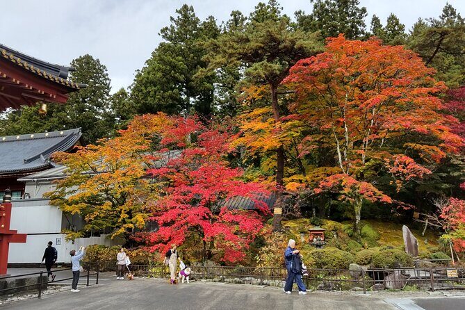 Nikko Toshogu and Kegon Waterfall with Certified Japanese Guide - Key Points