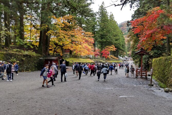 Nikko Toshogu and Kegon Waterfall with Certified Japanese Guide - The Real Value of This Tour