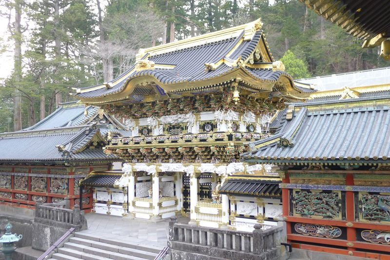 Nikko Toshogu Shrine Admission Ticket - Why Toshogu is worth a place in your Nikko day