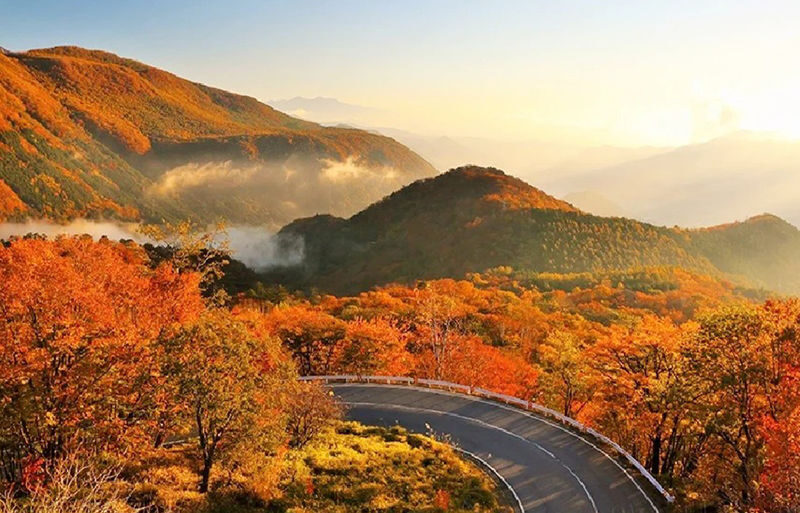 Nikko Toshogu Shrine & Kegon Falls One-Day Cultural Heritage Tour - Kegon Falls: a dramatic change of scene