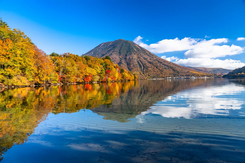 Nikko Toshogu Shrine & Kegon Falls Small Group Day Tour (Driver-Guide Service, Optional Hotel Pickup and Drop-off) - Kegon Falls brings a change of scene