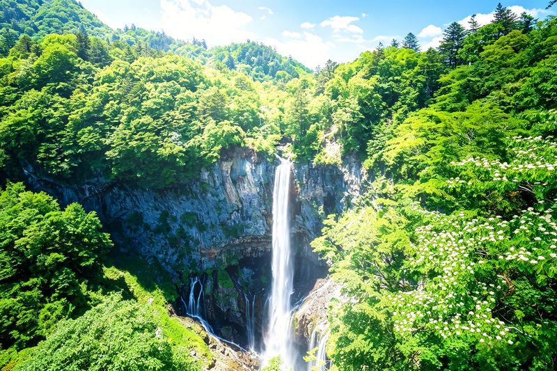 Nikko Toshogu Shrine & Kegon Falls Small Group Day Tour (Driver-Guide Service, Optional Hotel Pickup and Drop-off) - What the driver-guide service adds