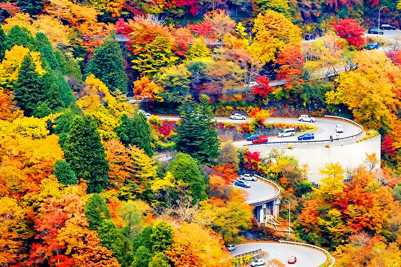 Nikko Toshogu Shrine & Kegon Falls Small Group Day Tour (Driver-Guide Service, Optional Hotel Pickup and Drop-off) - Booking details worth checking