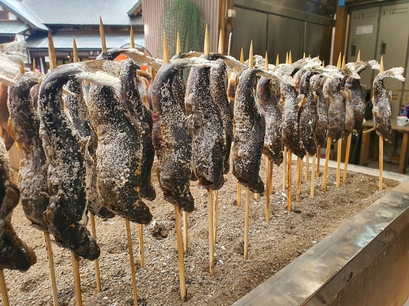 Nikko Toshogu Shrine & Kegon Waterfall One Day Tour from Tokyo - What the $54.49 starting price covers