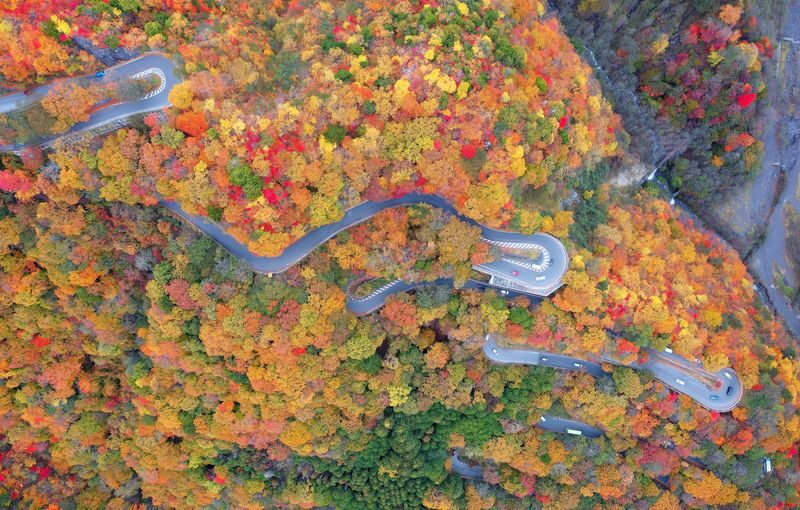 Nikko Toshogu Shrine & Kegon Waterfall One Day Tour from Tokyo - Should you book the Nikko day tour?