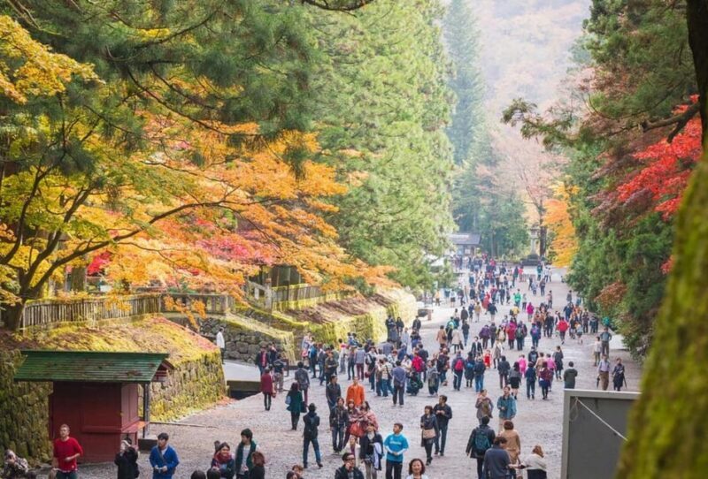 Nikko World Heritage Tour With English Drivers - Key Points