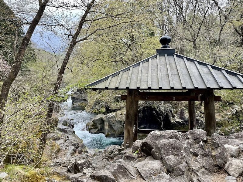 Nikko World Heritage Walking Tour with Toshogu Shrine & Lunch - Toshogu Shrine: time for the main event