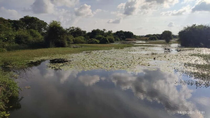 Nilaveli: Crocodile Lake with Lagoon Boat Safari - Key Points