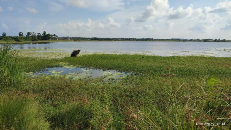 Nilaveli: Crocodile Lake with Lagoon Boat Safari - Final Thoughts