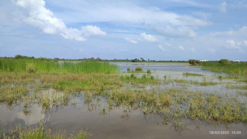 Nilaveli: Crocodile Lake with Lagoon Boat Safari - FAQ