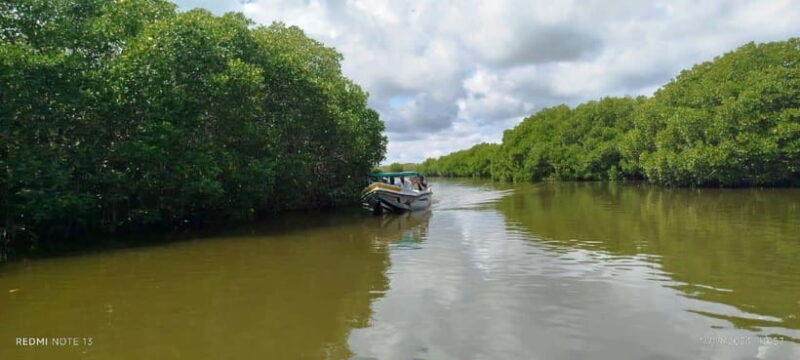 Nilaveli: Lagoon Boat Safari with Mangrove Exploration - An In-Depth Look at the Nilaveli Lagoon Boat Safari