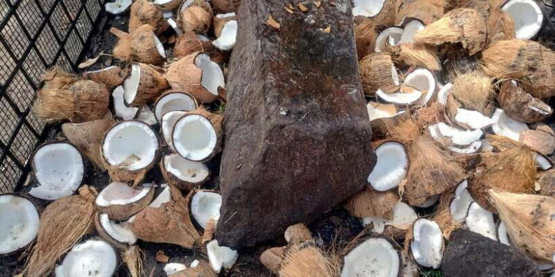 Nilaveli; Trinco City tour by Tuk Tuk - Who Will Enjoy This Tour?