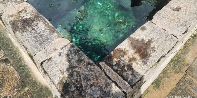 Nilaveli; Trinco City tour by Tuk Tuk - Final Thoughts