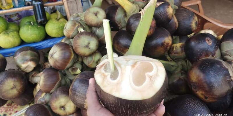 Nilaveli; Trinco City tour by Tuk Tuk - FAQ