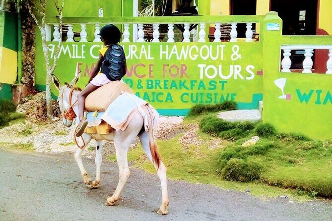 Nine Mile Ocho Rios Natural Attraction Tour - Key Points