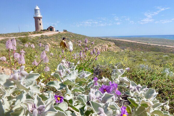 Ningaloo In A Full day Hike and Snorkel Tour - Final Thoughts