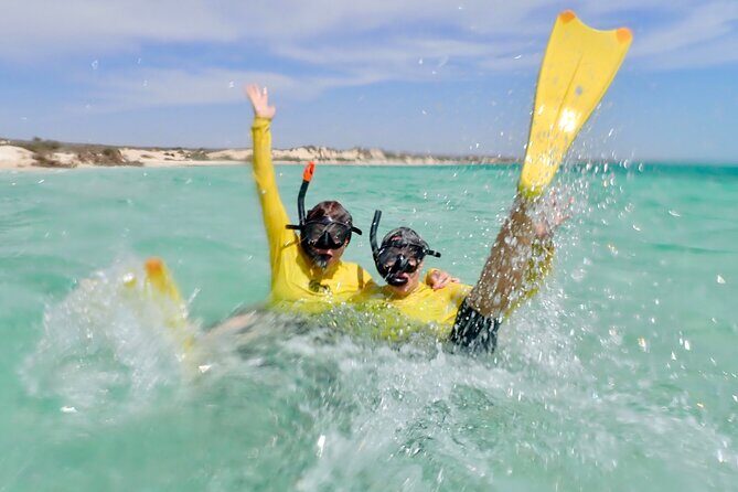 Ningaloo Reef Snorkel Adventure - FAQ