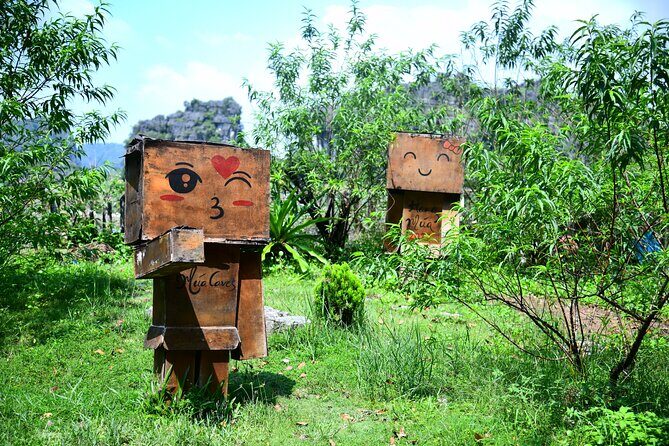 Ninh Binh 2 days 1 night Tour from Hanoi (Small Group of 9) - Who Will Love This Tour?