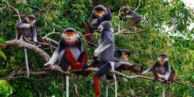 Ninh Binh: 2Day Trang An, Bai Dinh, Cuc Phuong National Park - FAQ