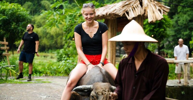 Ninh Binh: Buffalo riding, rice planting group tour - The Value of This Experience