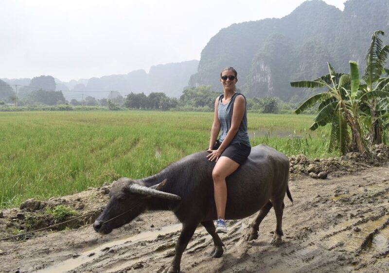 Ninh Binh: Buffalo riding, rice planting group tour - FAQs
